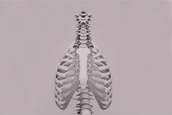 Bone